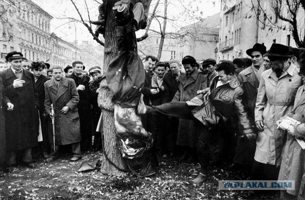 Очень интересные снимки