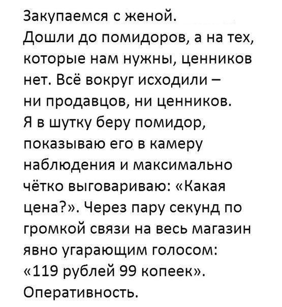 Подборка перлов и высказываний на майские