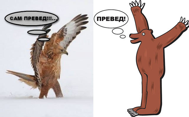 Подборка интересных и веселых картинок