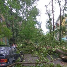 В Москве ураган!
