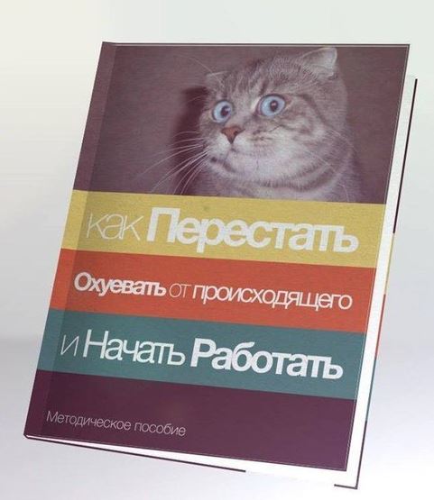 Итоги проверки пользователей