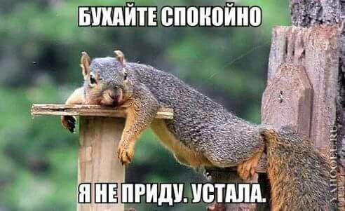 Итоги проверки пользователей