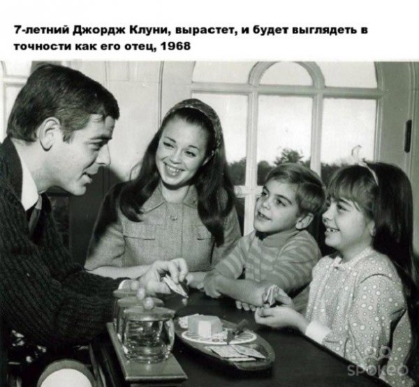 Картинки по-приколу