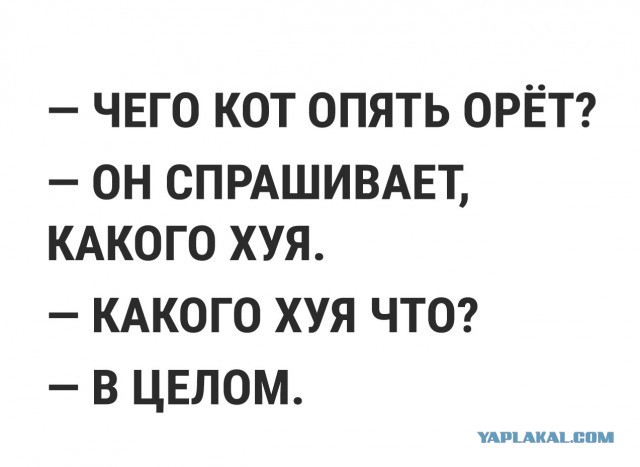 В Министерстве обороны проходит брифинг, посвященный крушению Ил-20 в Сирии: прямая трансляция