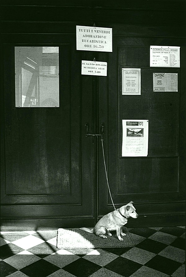 Ретро-Foto-Ассорти