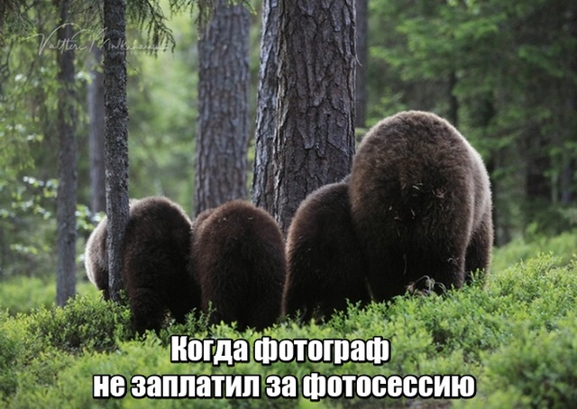 Нестандартный юмор