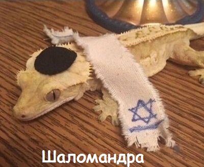 Нестандартный юмор