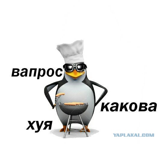 Прямой репортаж ЯПовца с места вынужденной посадки А321 "Уральских авиалиний" в Подмосковье
