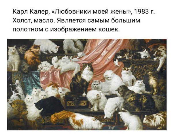 Немного картинок для настроения 24.10.19
