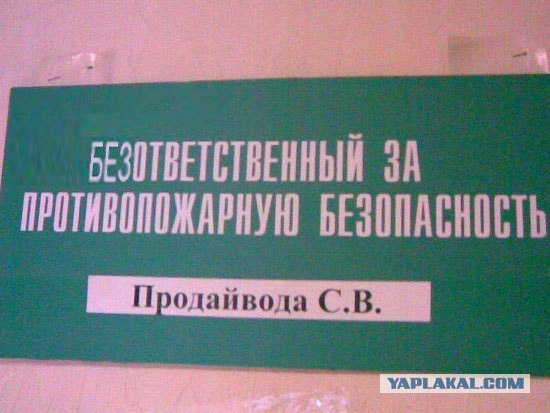 Подмосковная таможня отжигает (2 фото)