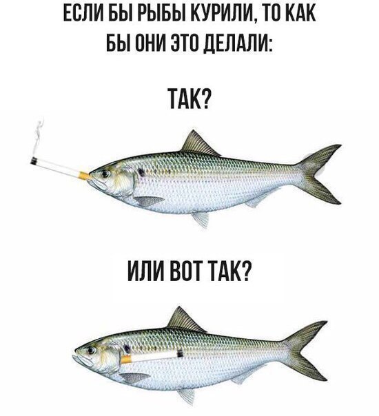 Не очень адекватный юмор