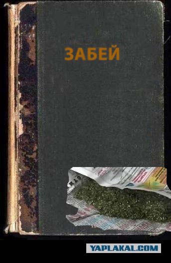 Фотожаба: учебник