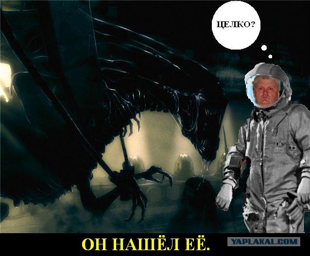 Анкета с сайта знакомств