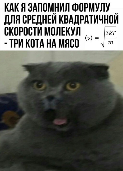 Баянисто-небаянистый юмор. 9.10.20