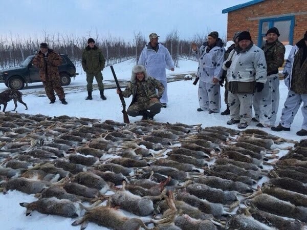 Не стреляй? Или немного мыслей молодого охотника