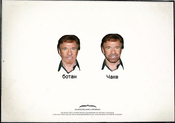 Усы творят чудеса!