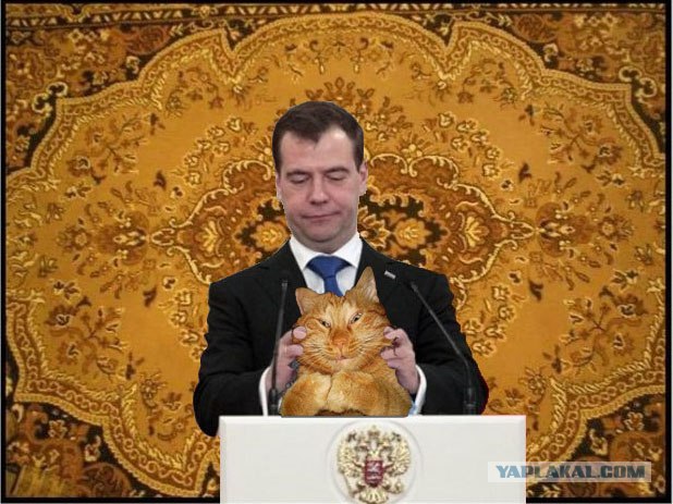 Фотожаба: Не наигрался еще?
