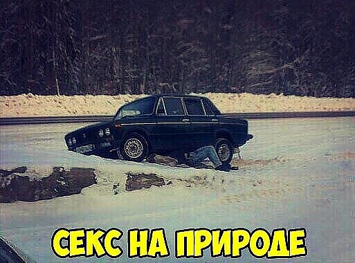 Фотки и картинки: юморные и красивые, забавные и милые 28.12.20