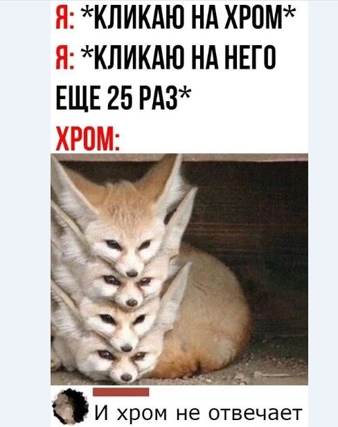 Картинки и мемы для настроения 019