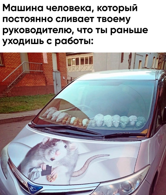 Весёлый полтишок 19.03
