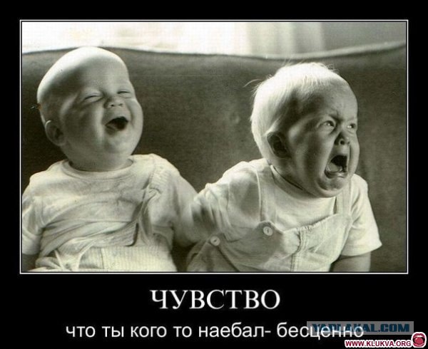 Это просто жесть до чего догадливая собака