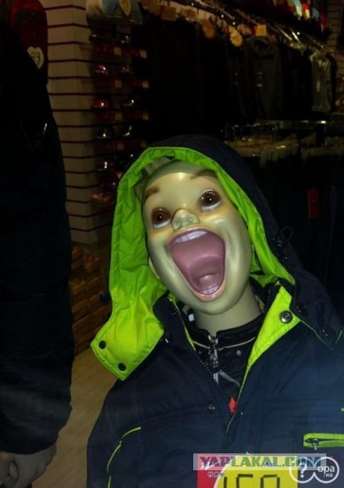 В лесу Пенсильвании засняли пришельца?