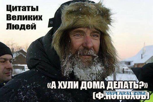 Фёдор Конюхов: Арктика стремительно меняется