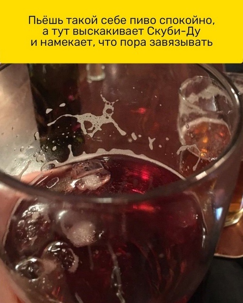 Кретинизмы из сети 03.09.2021