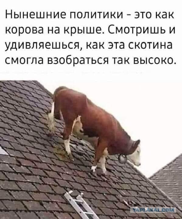 «Я отменяю QR-коды с начала декабря»: Высказал Калининградский губернатор, ранее изгнавший всех мигрантов