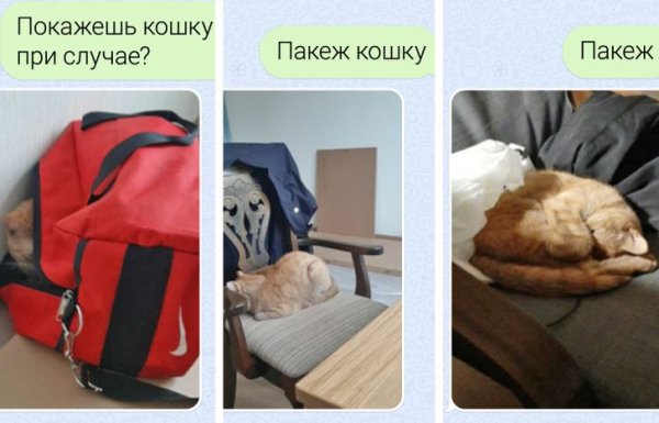 Есть два типа девушек и другие картинки 20.12.21