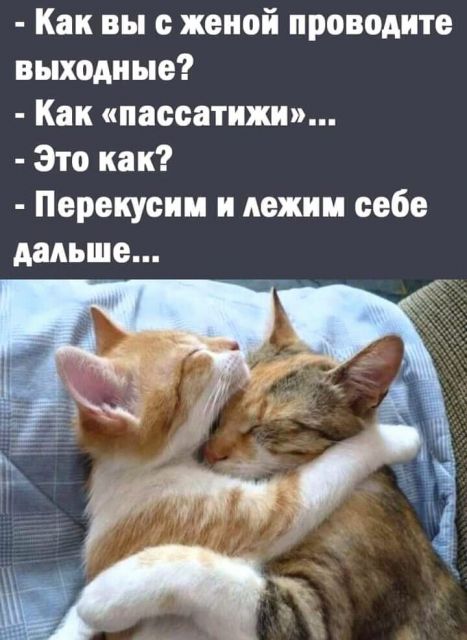 Картинки и буквы 15.07.22