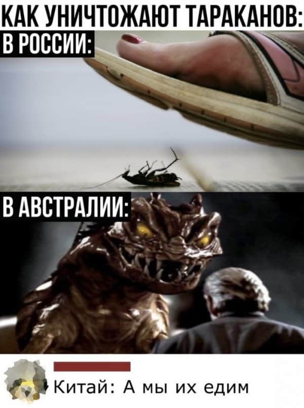 Баянисто-небаянистый юмор 7.04.22