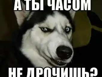 В России ищут тех, кто портит Z-автомобили. Машины поджигают и прокалывают им колёса. Возможно, к этому причастны ультраправые.