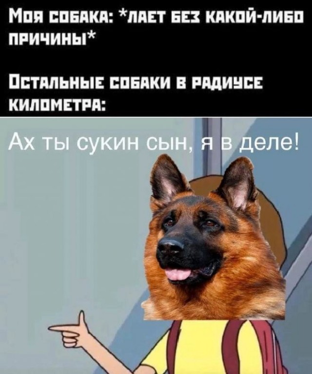 Картинки и мемы для настроения - 111