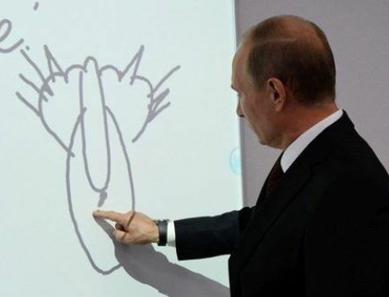 В Челябинске появился не спящий кот