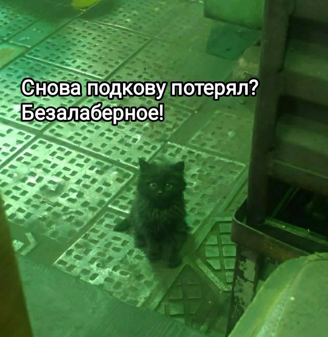 Ночь, камера, злоумышленник.