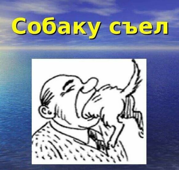 Победная поступь идиотизма по планете – том 9