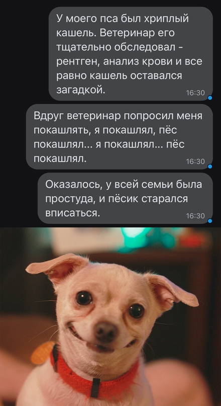 Весёлый полтишок 21.03.23