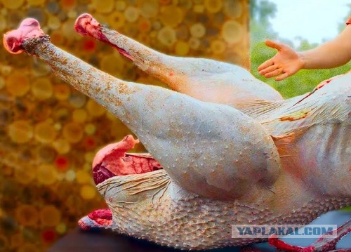 Лёгкий завтрак