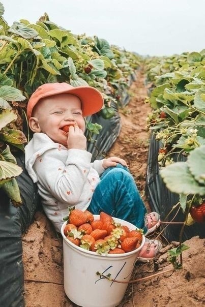 Ностальгическая мешанина из светлого прошлого