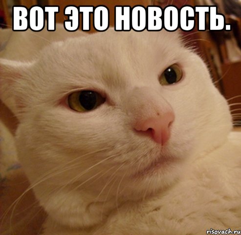 Унижение как часть программы подчинения.