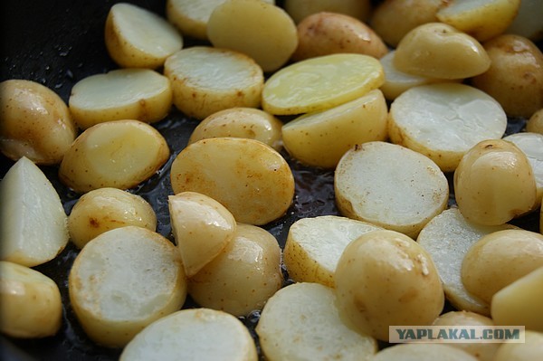 Жареная картошка с укропом. Вкусная жареная картошка на утином жире. Сухое вещество в картофеле. Картофель фри в сотейнике. Продукты содержащие трансжиры список таблица.