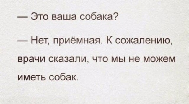 Кошатники, берем на заметку