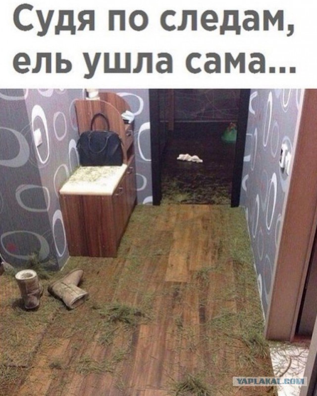Почему на Руси девушки бежали на речку после первой брачной ночи