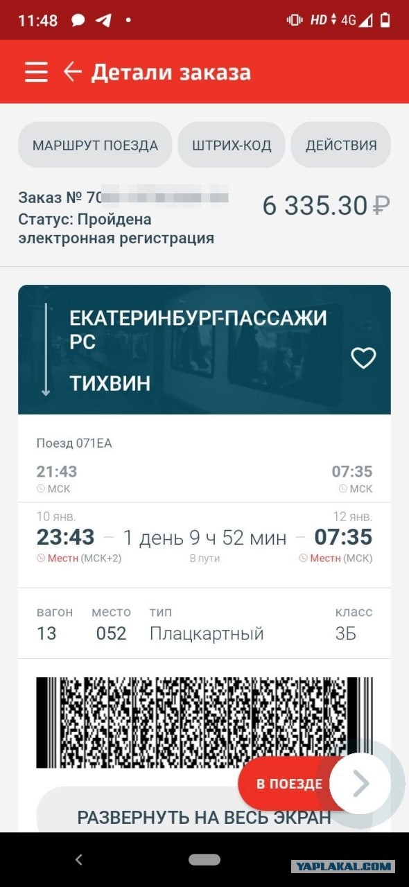 Проводница разлучила хозяина с котом