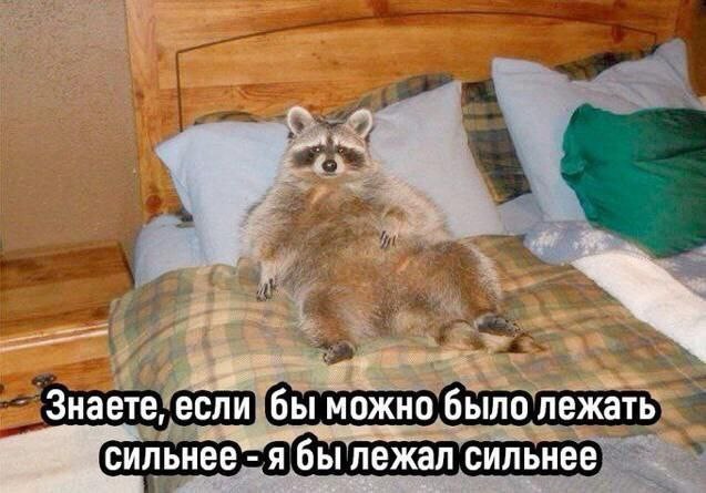 Всего понемногу. От 22.05.2024