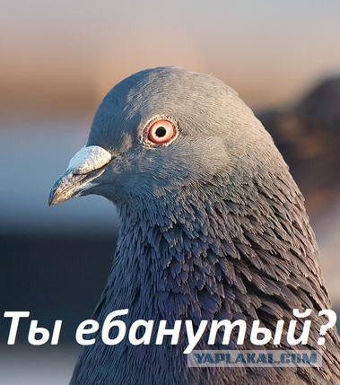 Действительно