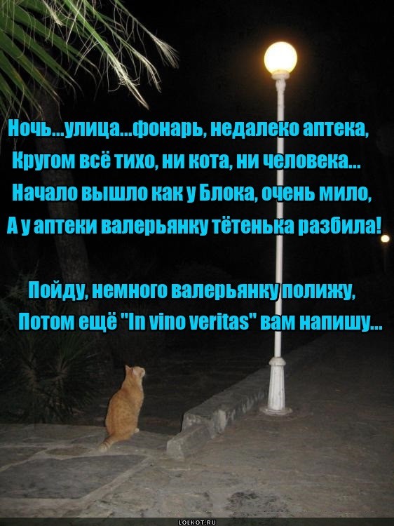 Ночь, улица, фонарь...