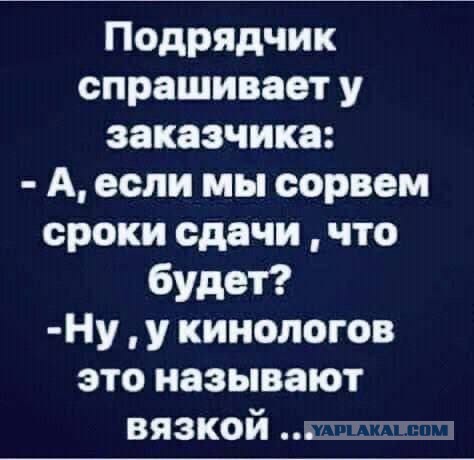 Так себе картинки 23.11.24