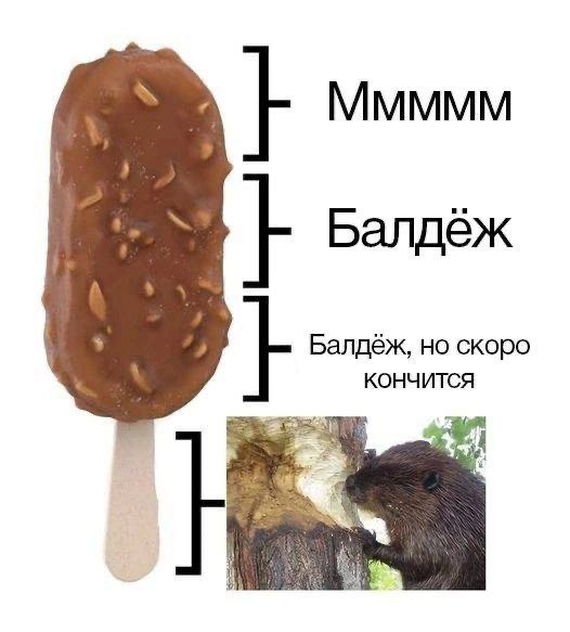 Немного забавных картинок от 22.12.24